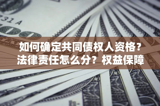 北京如何确定共同债权人资格？法律责任怎么分？权益保障技巧揭秘！