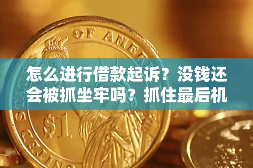 北京怎么进行借款起诉？没钱还会被抓坐牢吗？抓住最后机会！