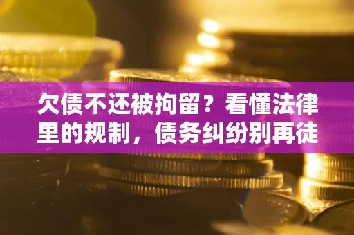北京欠债不还被拘留？看懂法律里的规制，债务纠纷别再徒劳奔波