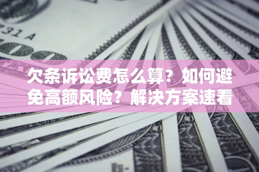 北京欠条诉讼费怎么算？如何避免高额风险？解决方案速看！