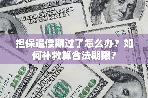 北京担保追偿期过了怎么办？如何补救算合法期限？