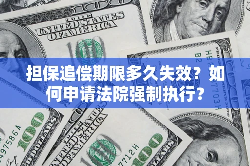 北京担保追偿期限多久失效？如何申请法院强制执行？